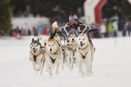 Lenzerheide 2013